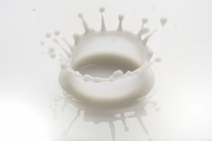 セラミド　乳液　効果　おすすめ　人気　プチプラ　トライアル