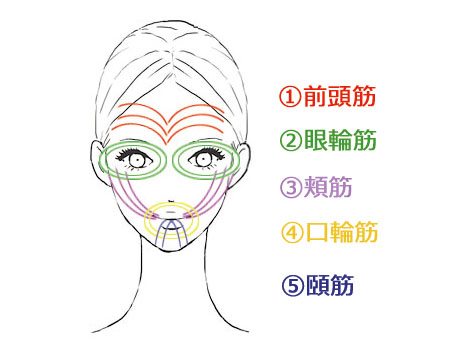 顔筋トレ　筋肉　表情　トレーニング　たるみ　シワ　効果　解消　改善