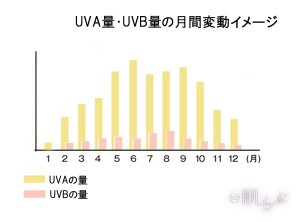 日焼け止め　冬　紫外線　美白　対策　SPF　PA　紫外線A波　紫外線B波　UVA　UVB