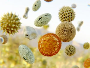 アレルバリアミスト体感セット　花粉　ホコリ　春　肌荒れ　対策