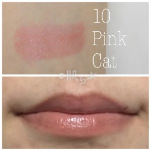 キス エッセンスルージュ　リップ　kiss 10 pink cat